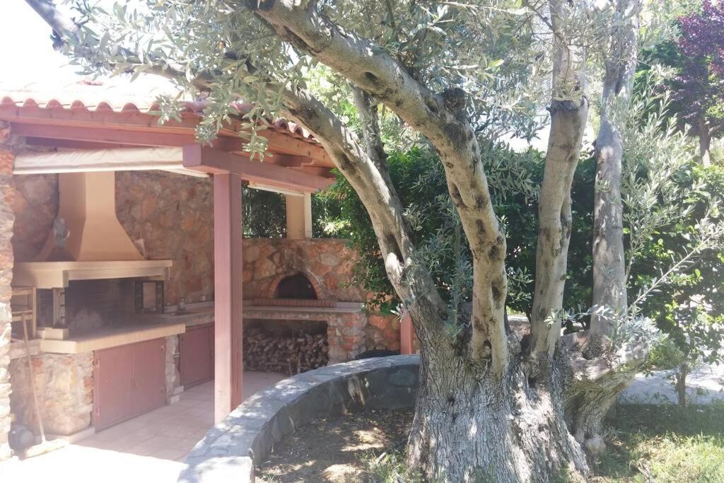 Seaside Villa Andronikos Амаринтос Екстериор снимка