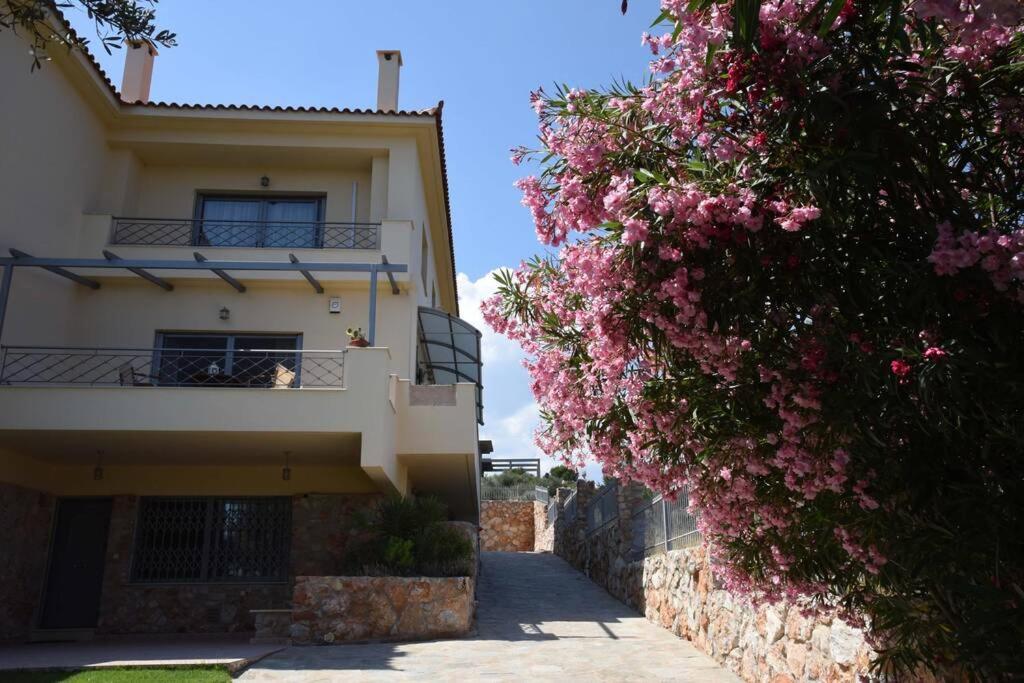 Seaside Villa Andronikos Амаринтос Екстериор снимка