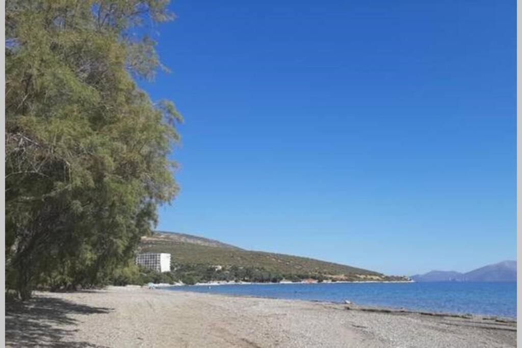 Seaside Villa Andronikos Амаринтос Екстериор снимка