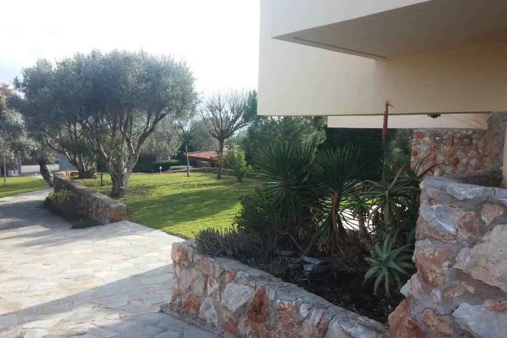 Seaside Villa Andronikos Амаринтос Екстериор снимка