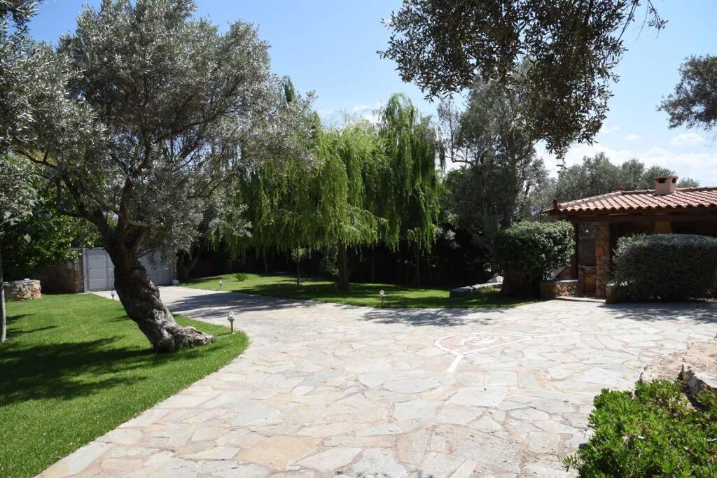 Seaside Villa Andronikos Амаринтос Екстериор снимка