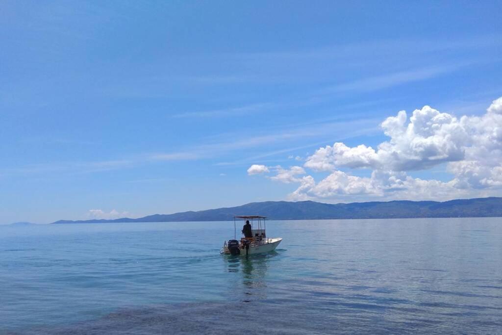 Seaside Villa Andronikos Амаринтос Екстериор снимка
