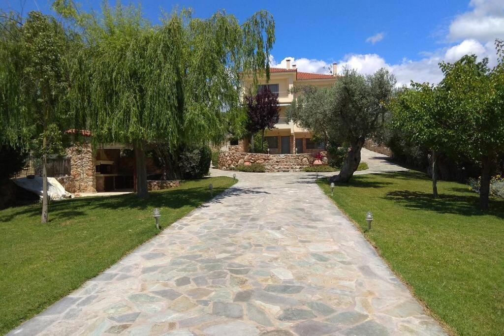 Seaside Villa Andronikos Амаринтос Екстериор снимка