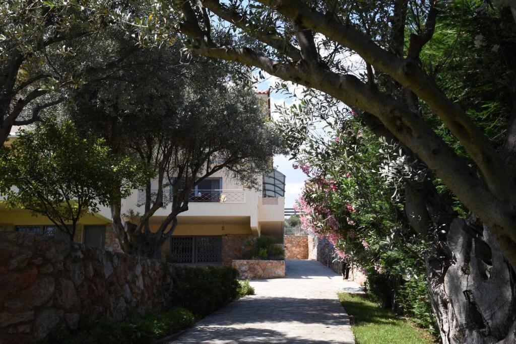 Seaside Villa Andronikos Амаринтос Екстериор снимка
