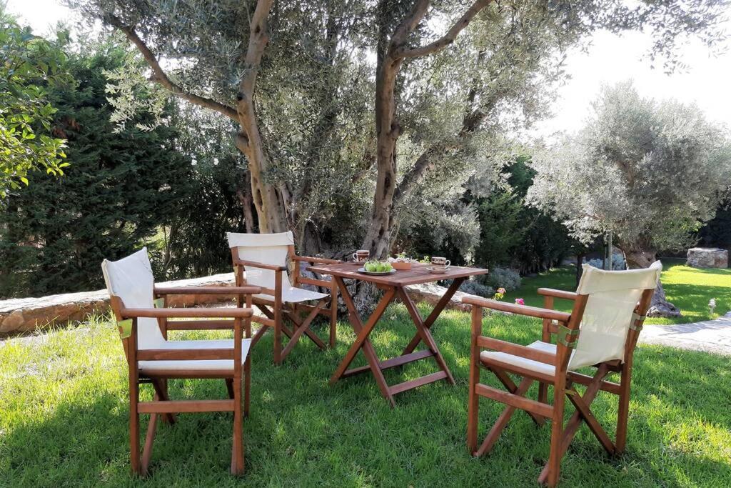 Seaside Villa Andronikos Амаринтос Екстериор снимка