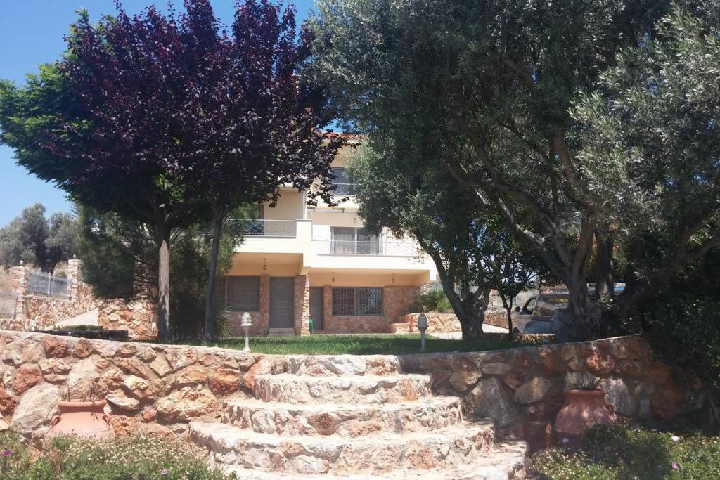 Seaside Villa Andronikos Амаринтос Екстериор снимка