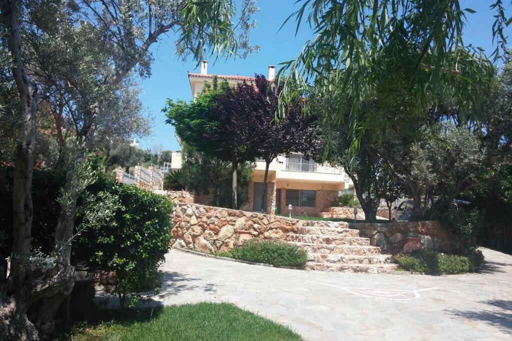 Seaside Villa Andronikos Амаринтос Екстериор снимка