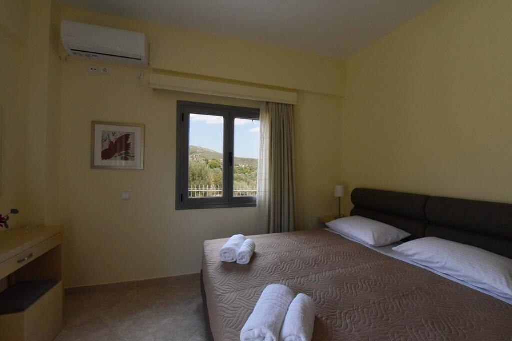 Seaside Villa Andronikos Амаринтос Екстериор снимка