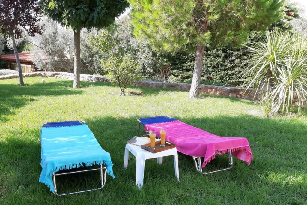Seaside Villa Andronikos Амаринтос Екстериор снимка