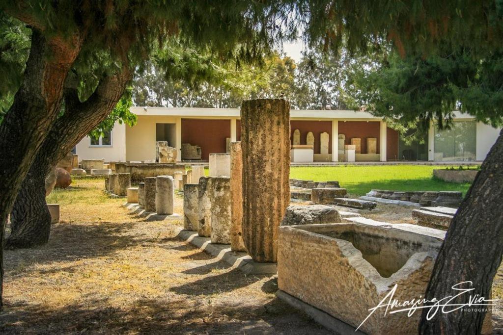 Seaside Villa Andronikos Амаринтос Екстериор снимка