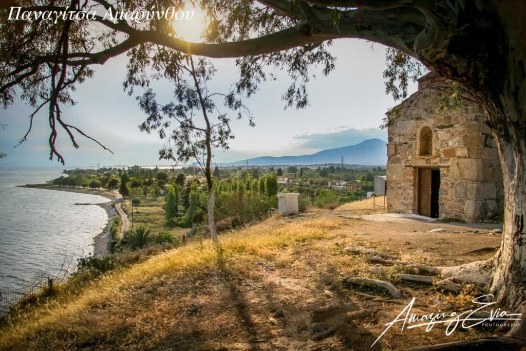 Seaside Villa Andronikos Амаринтос Екстериор снимка